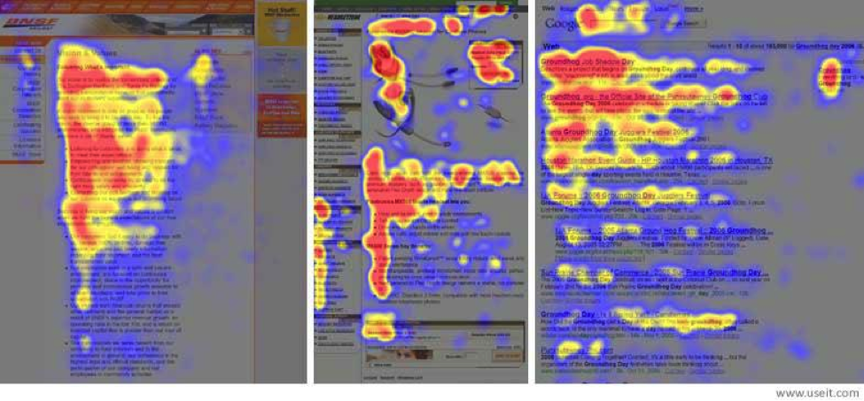 How People Search Eye Tracking